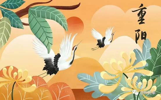 1665048750165297.jpg clip_image002.jpg