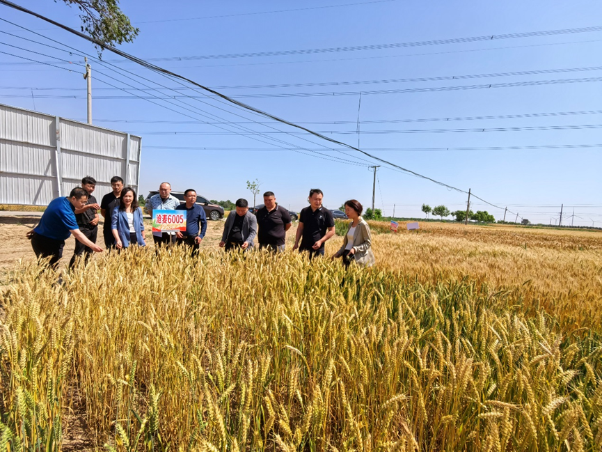 1686716348851448.png image.png