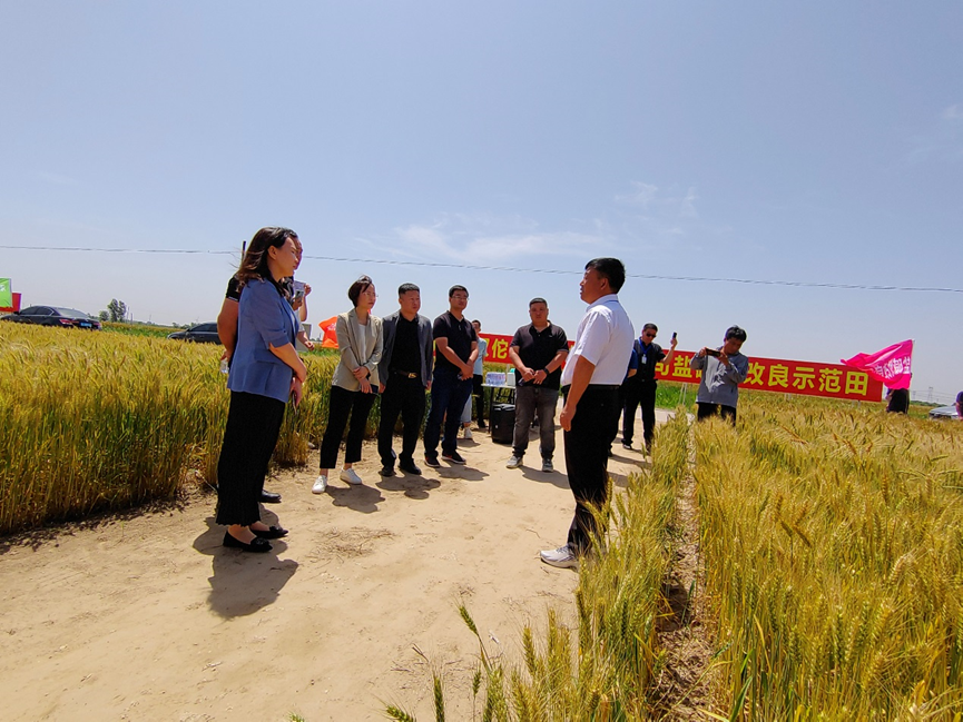 1686716402809079.png image.png