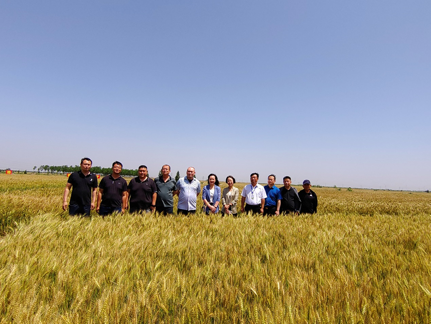 1686716468499883.png image.png